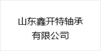 合作伙伴五